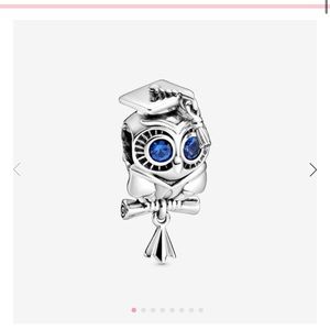 Pandora Wise Owl Graduation Charm